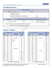 ALC80A163CB025 Datasheet Page 3