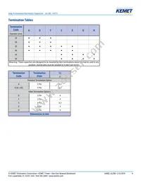 ALC80A163CB025 Datasheet Page 4