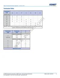 ALC80E822KP200 Datasheet Page 4