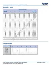 ALS81H124NF063 Datasheet Page 4