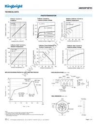 AM2520P3BT03 Datasheet Page 3