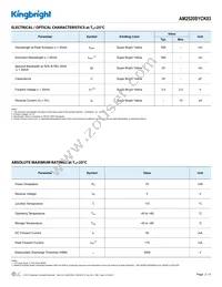 AM2520SYCK03 Datasheet Page 2