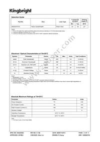 AM2520YC03 Datasheet Page 2