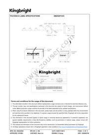 AM2520YC03 Datasheet Page 5