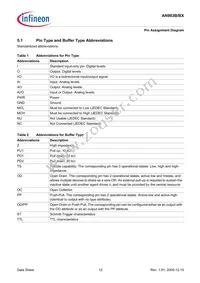 AN983BX-BG-R-V1 Datasheet Page 12