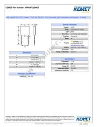 ARR09F125MGS Datasheet Cover