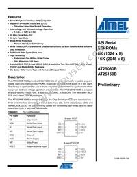 AT25160BY6-YH-T Datasheet Cover