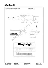 AT2520SE9ZS Datasheet Page 6