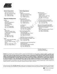 AT25256W-10SI-2.7 Datasheet Page 22