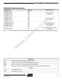 AT25640AN-10SI-2.7-T Datasheet Page 17