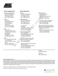 AT29BV020-15TI Datasheet Page 15