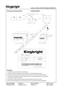 AT3228ZG10ZS-RV Datasheet Page 6