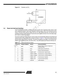 AT43USB325E-AU Datasheet Page 21