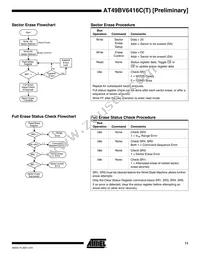 AT49BV6416CT-70CI Datasheet Page 11
