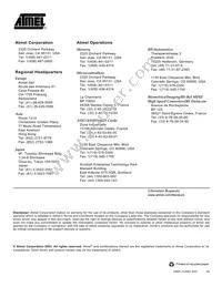 AT49F001ANT-55JU Datasheet Page 18