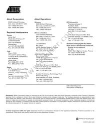 AT49F1024A-45VL Datasheet Page 14