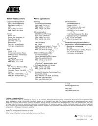 AT49F8192AT-70TI Datasheet Page 18