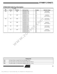 AT49LV040-12VI Datasheet Page 13
