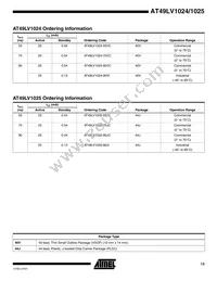 AT49LV1025-90JC Datasheet Page 13