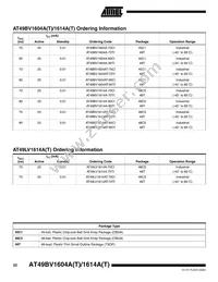 AT49LV1614AT-70TI Datasheet Page 22