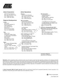 AT73C212-ZI Datasheet Page 11