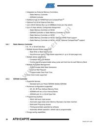 AT91CAP7E-NA-ZJ Datasheet Page 20