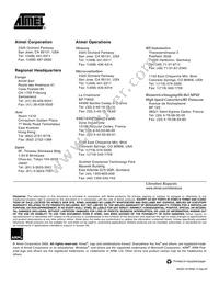 AT91FR40162-CI-T Datasheet Page 23