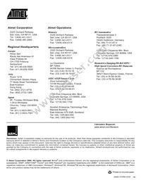 AT91FR4042-CI-T Datasheet Page 22