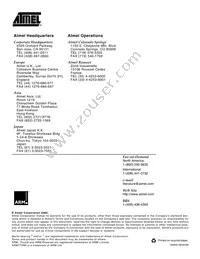 AT91M42800-33CI Datasheet Page 20