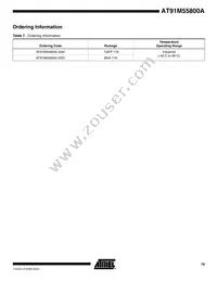 AT91M55800-33AI Datasheet Page 19