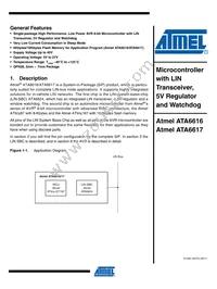 ATA6617-P3QW Cover