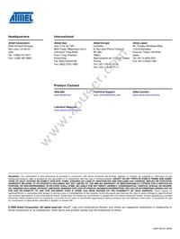 ATA6620N-TAQY Datasheet Page 22