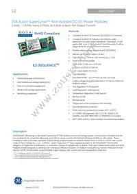 ATM020A0X3-SRZ Datasheet Cover