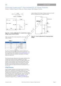 ATM020A0X3-SRZ Datasheet Page 13