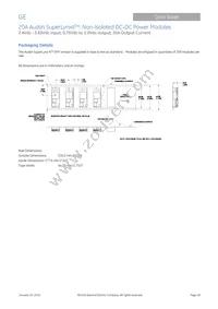 ATM020A0X3-SRZ Datasheet Page 18