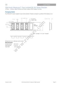 ATM030A0X3-SRPHZ Datasheet Page 19