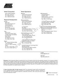 ATMEGA169V-1MC Datasheet Page 22