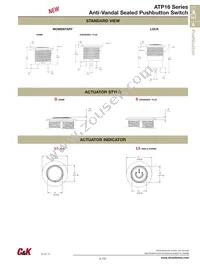 ATP16-SL1-612-M4SA-04G Datasheet Page 2