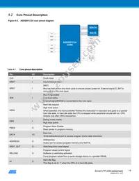 ATPL00B-AZU-Y Datasheet Page 18