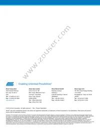 ATPL220A-A1U-Y Datasheet Page 10