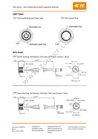 AVC22LS16FE1DT5A04 Datasheet Page 4