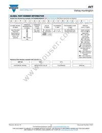 AVT16020E100R0KE Datasheet Page 2