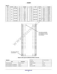 AX2061-1-WD1 Datasheet Page 17