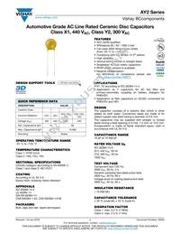 AY2471K29Y5SS63L7 Datasheet Cover