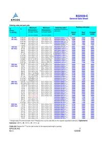 B32559C3823K000 Datasheet Page 2