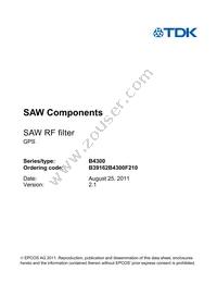 B39162B4300F210 Datasheet Page 3