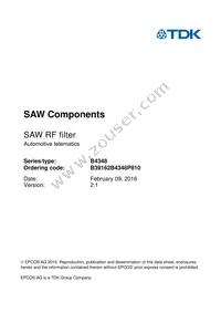 B39162B4348P810 Datasheet Page 3