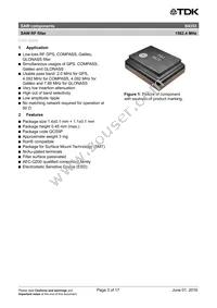 B39162B4353P810 Datasheet Page 5