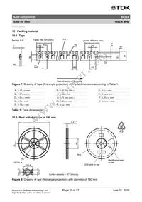 B39162B4353P810 Datasheet Page 12