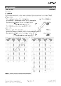 B39162B4353P810 Datasheet Page 14